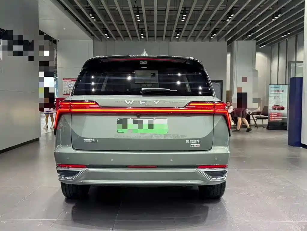 WEI PAI WEI BRAND BLUE MOUNTAIN