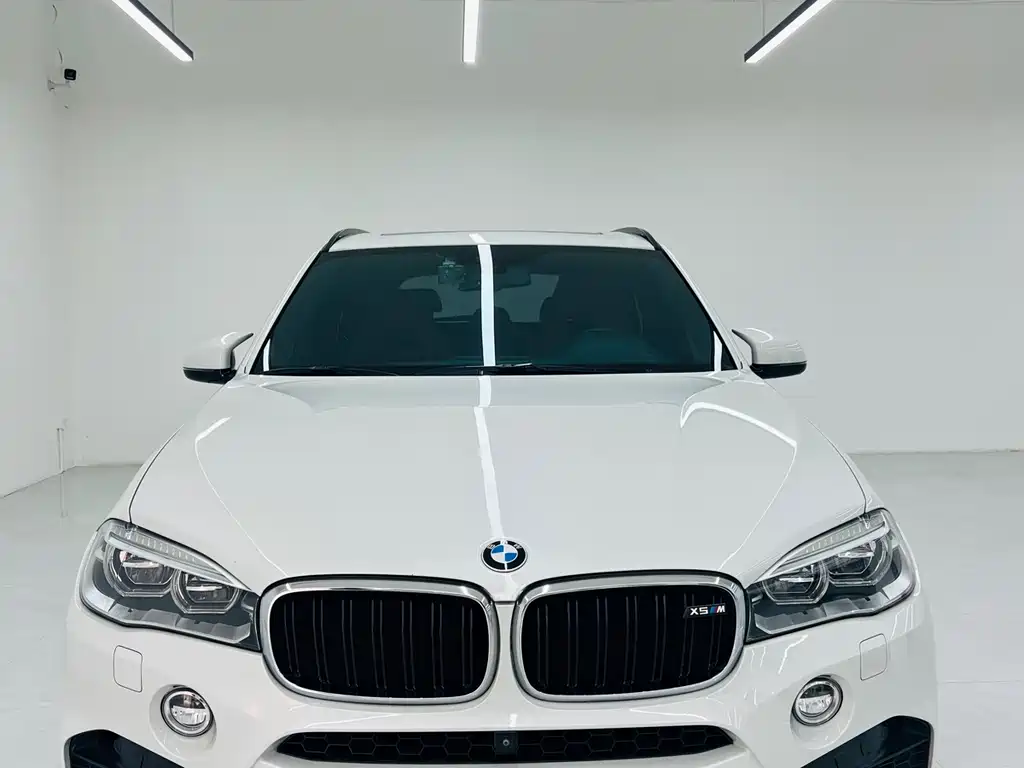 BMW  X5 M
