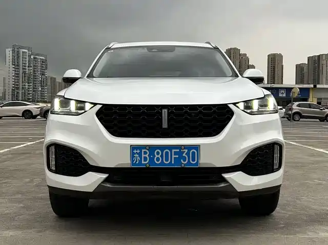 WEI PAI WEI BRAND VV6 2019