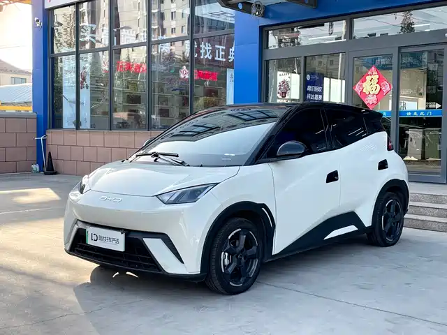 BYD SEAGULL 2024