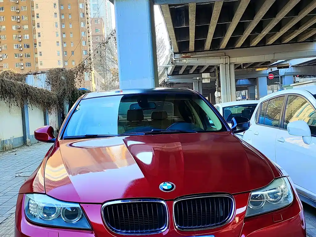 BMW 3 Series (Import) 2010