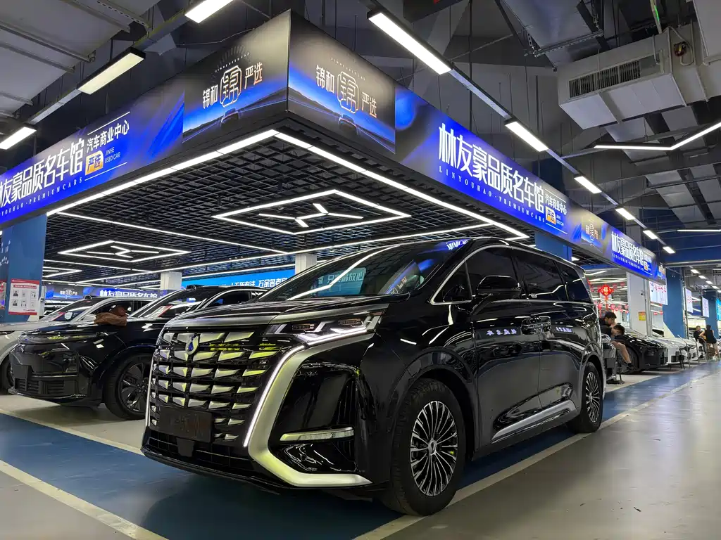 2022 Denza D9 - zdjęcie 1 z 16