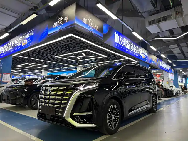 2022 Denza D9