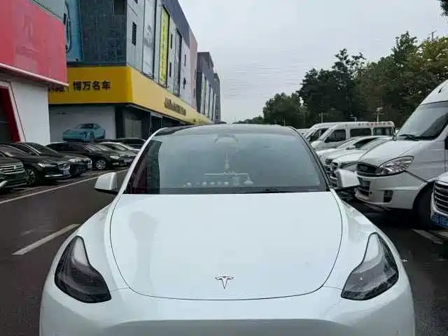 Tesla Model Y — миниатюра 2