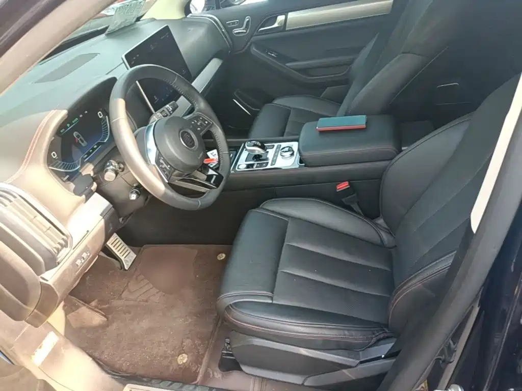 BYD Tang New Energy — миниатюра 15