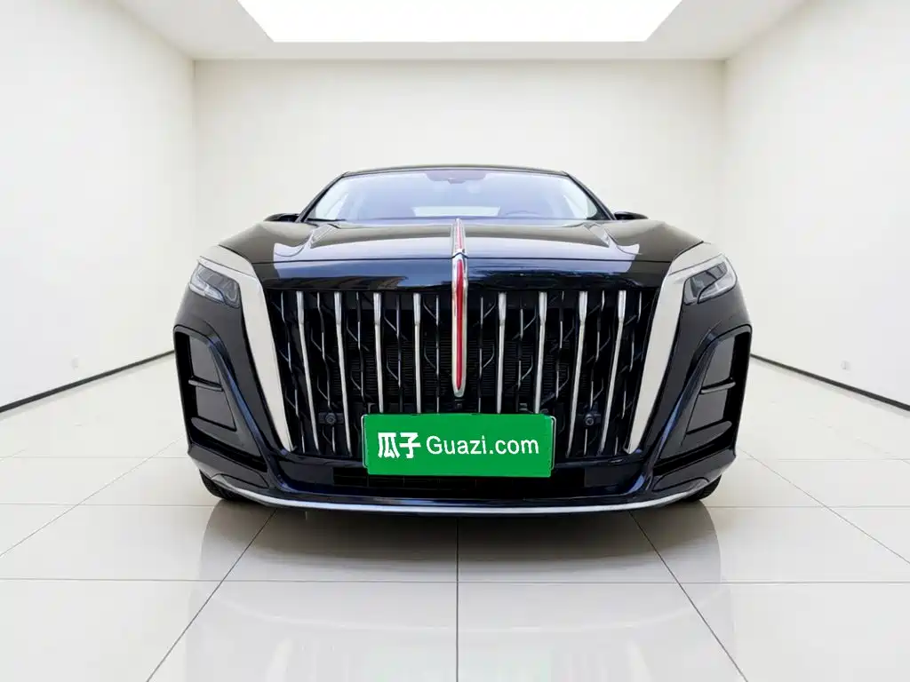 Hongqi Hongqi HS3 PHEV — миниатюра 2