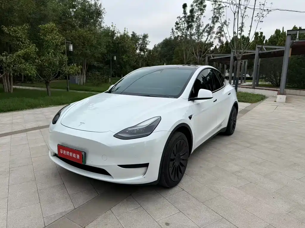 Tesla Model Y — миниатюра 2