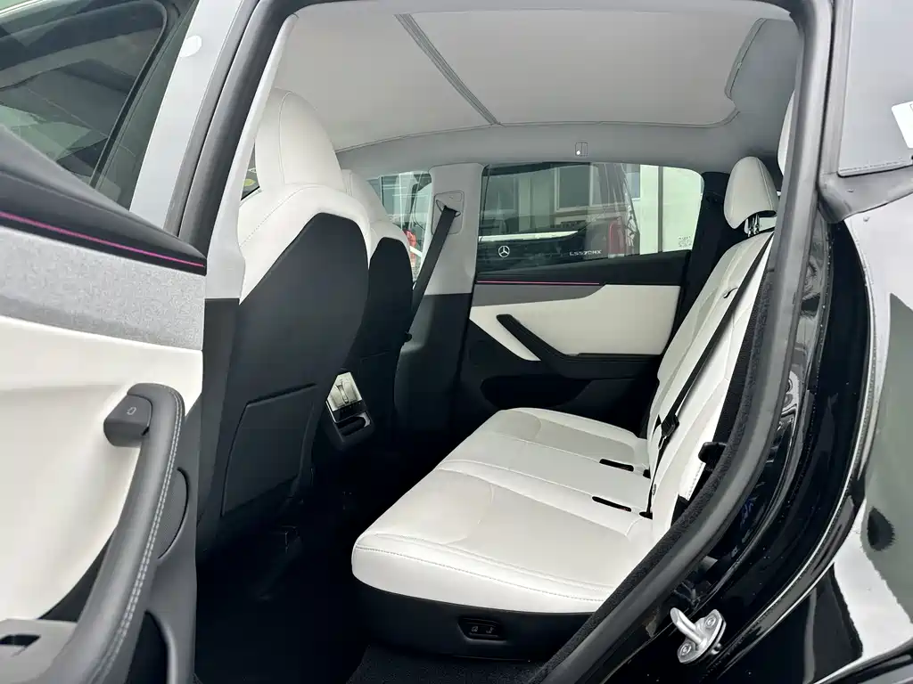 Tesla Model Y — миниатюра 6
