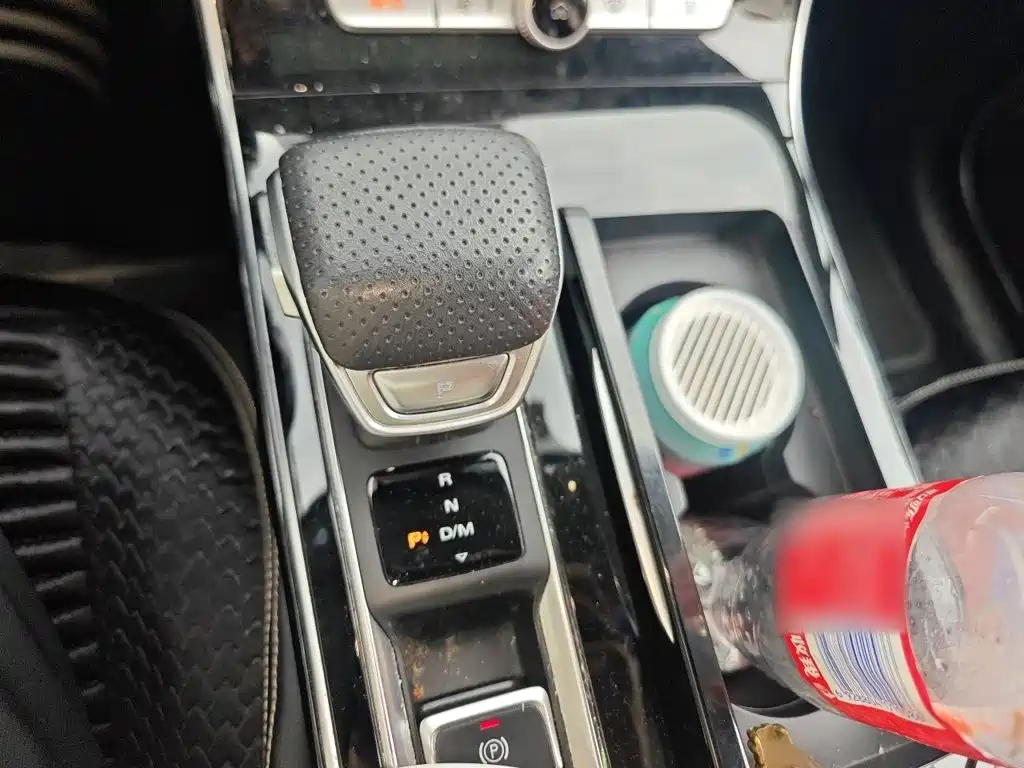 Roewe RX5 Max 2019 300TGI AT Luxury