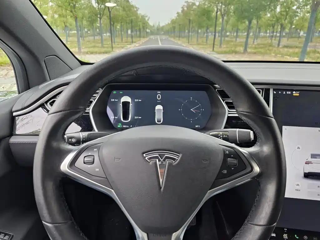 Tesla Model X — миниатюра 14