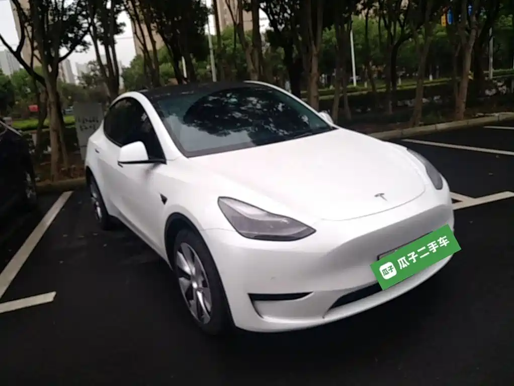 Tesla Model Y — миниатюра 4