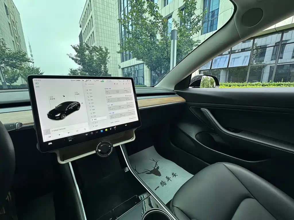 Tesla Model 3 — миниатюра 19
