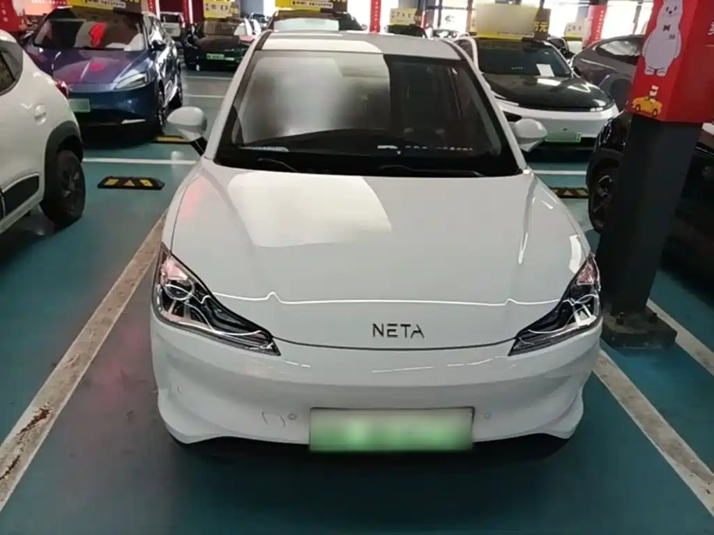Neta Neta V — миниатюра 3