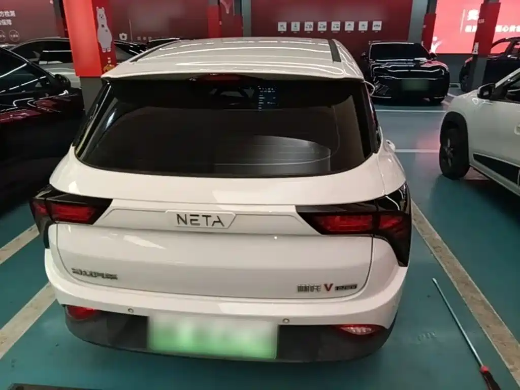 Neta Neta V — миниатюра 6