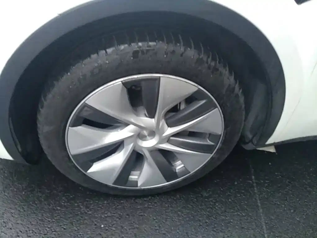 Tesla Model Y — миниатюра 23