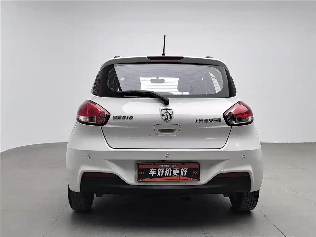 BAOJUN 310