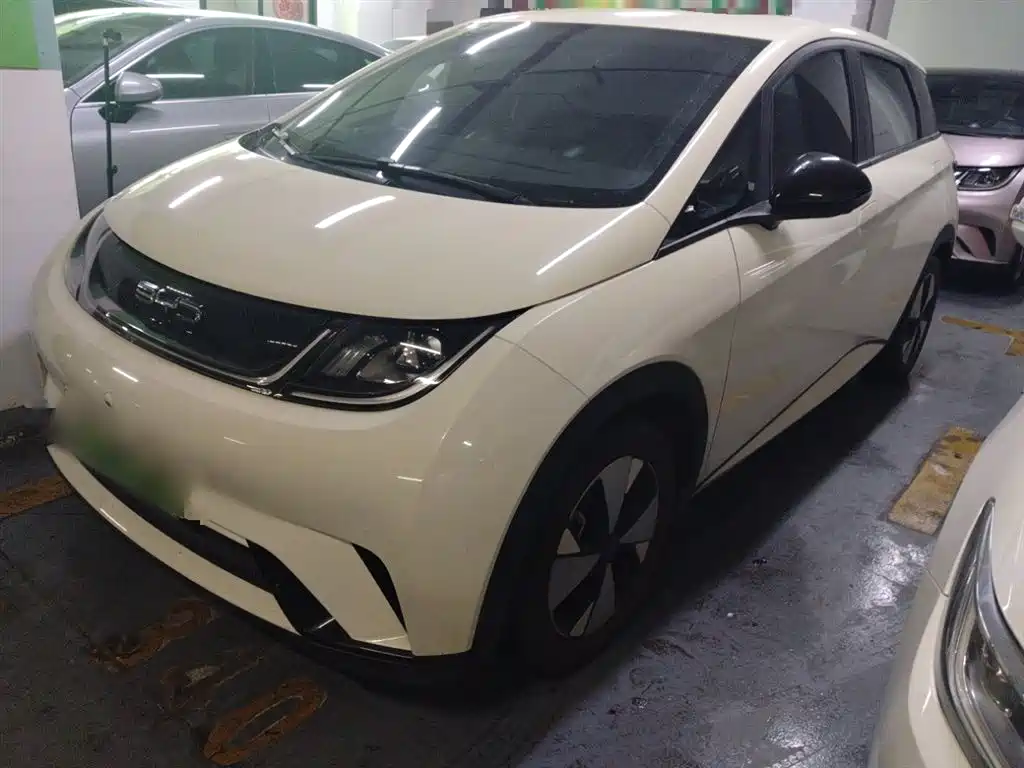 Byd Dolphin 2024