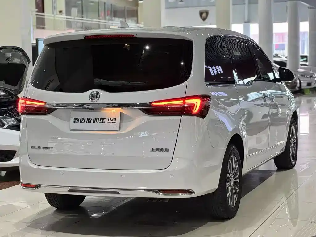 Buick GL8 — миниатюра 4