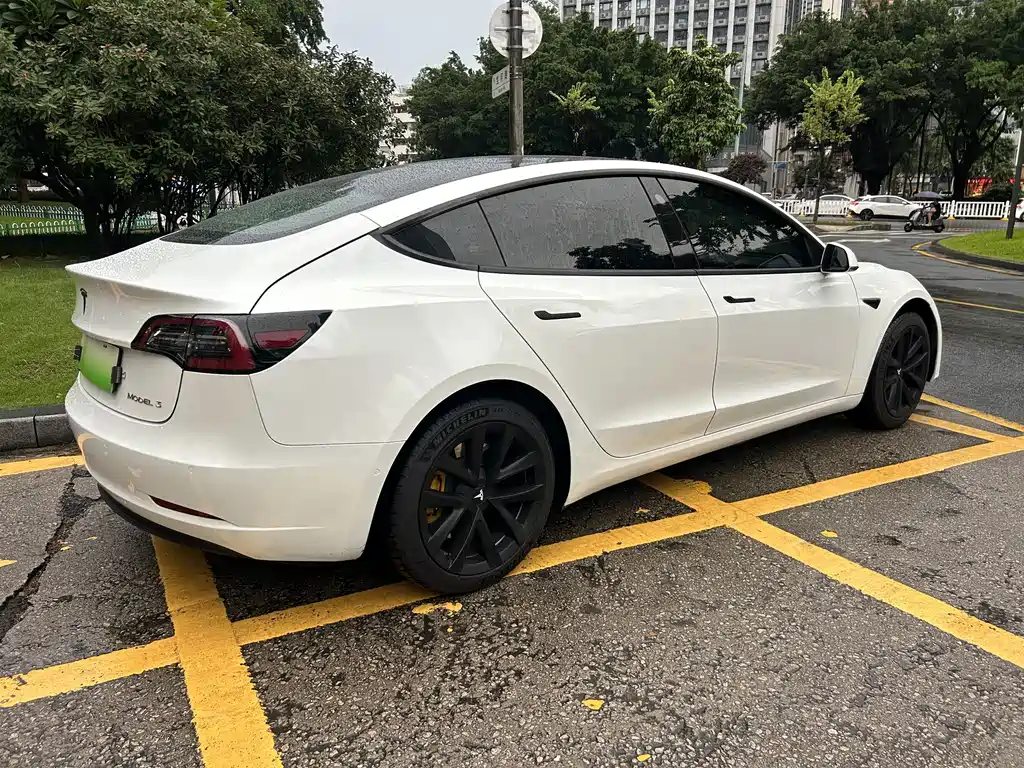 Tesla Model 3 — миниатюра 4