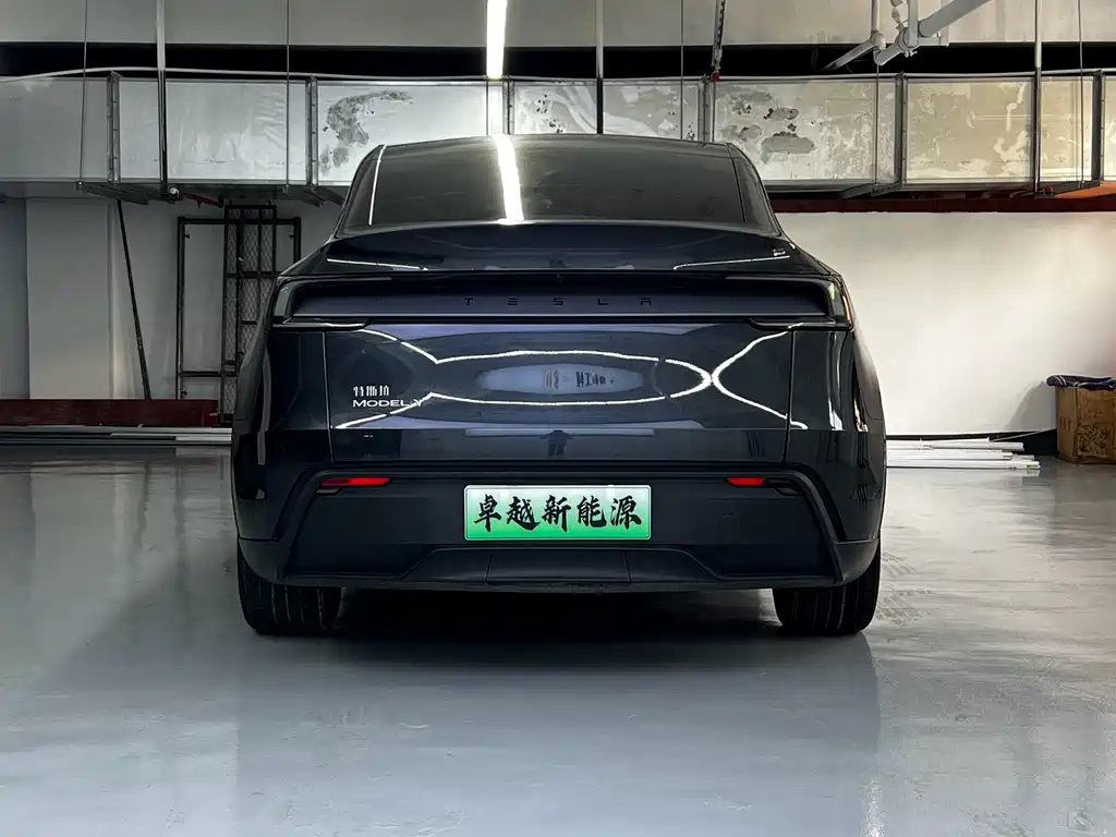 Tesla Model Y — миниатюра 9