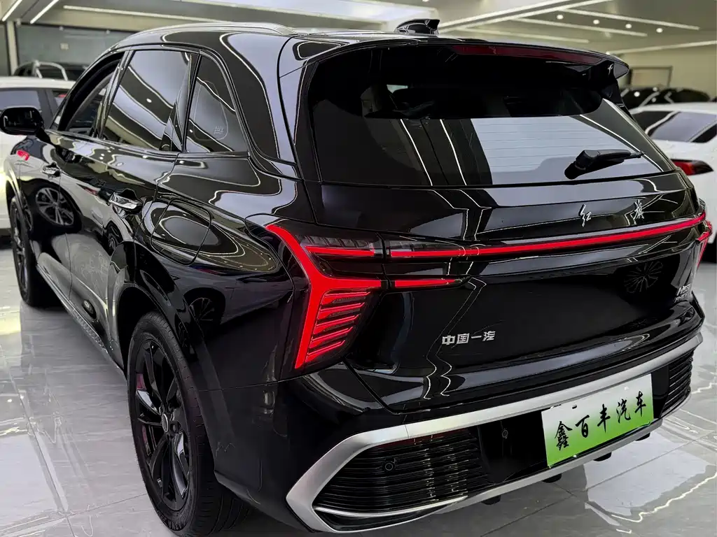 Hongqi Hongqi HS3 PHEV — миниатюра 10