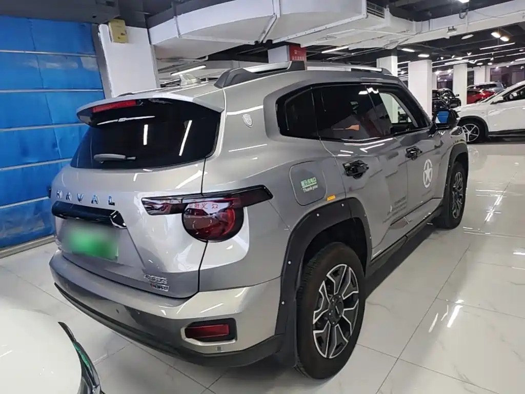 Haval Big Dog PLUS New Energy — миниатюра 7