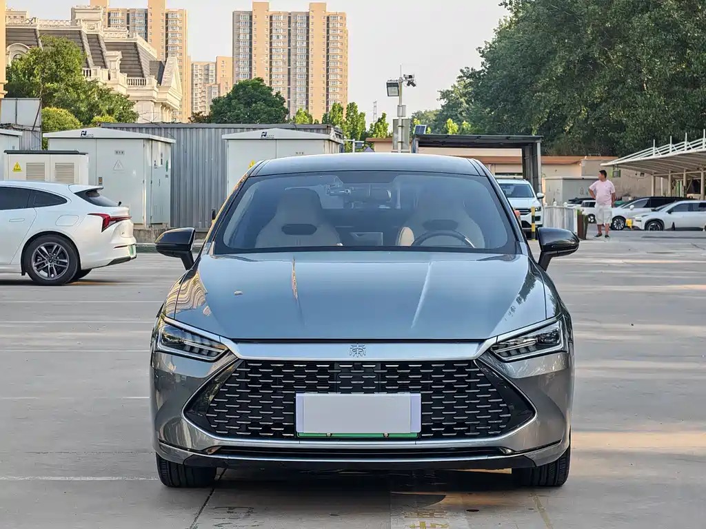 BYD Qin Plus PLUS 2023 Champion DM-i 55KM Lead