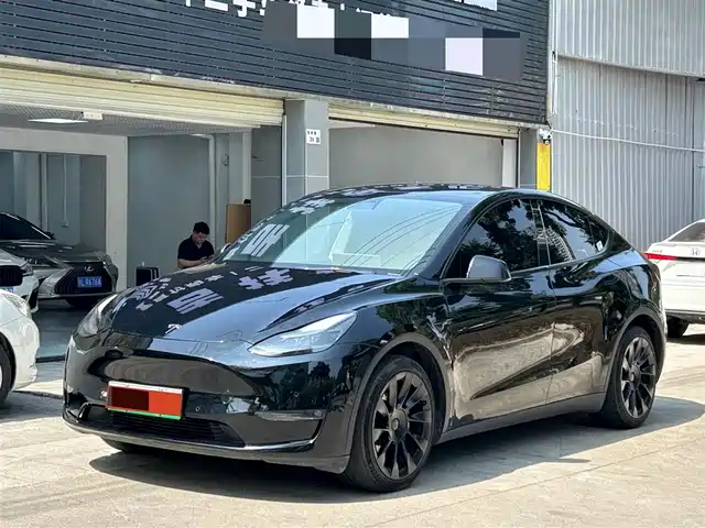 TESLA MODEL Y 2021