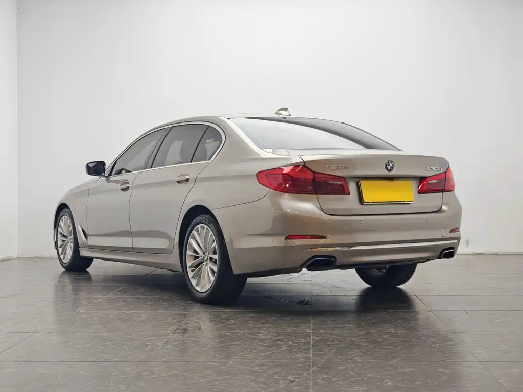 BMW 5 Series 5 2020 530Li Lead Luxury