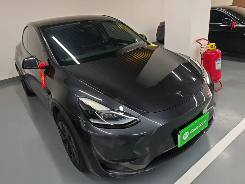 Tesla Model Y — миниатюра 4