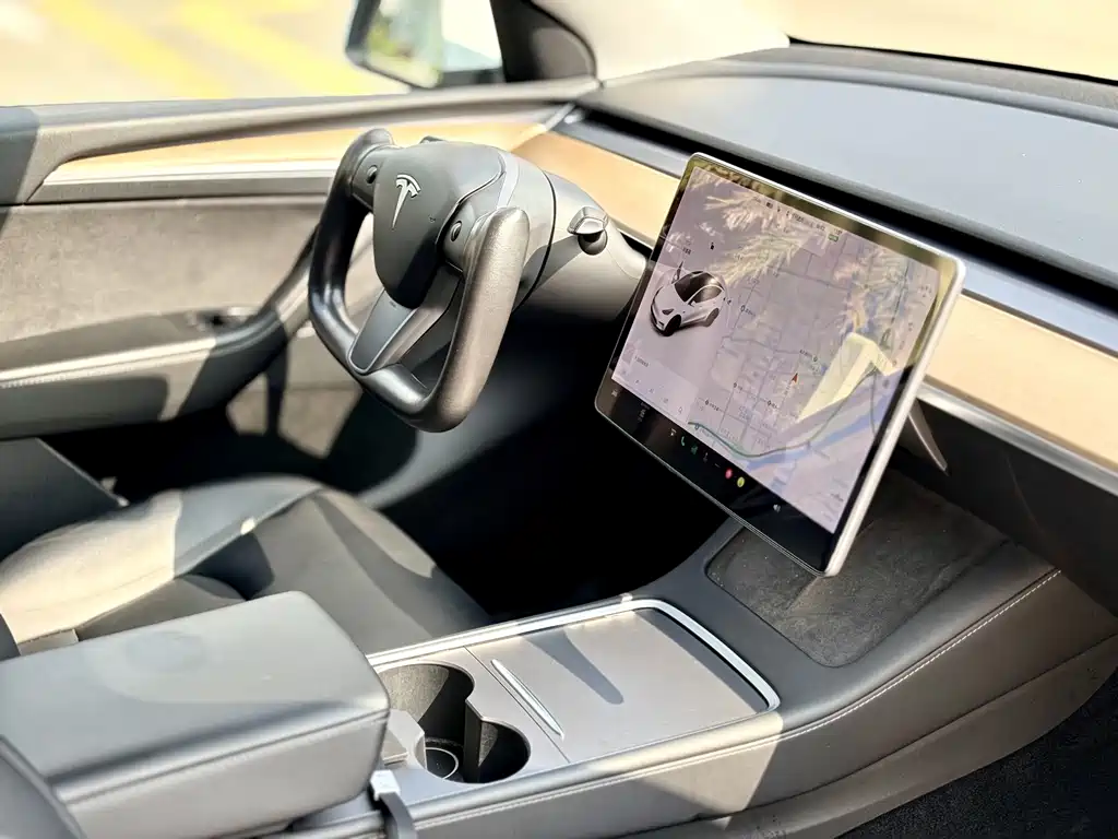 Tesla Model Y — миниатюра 10