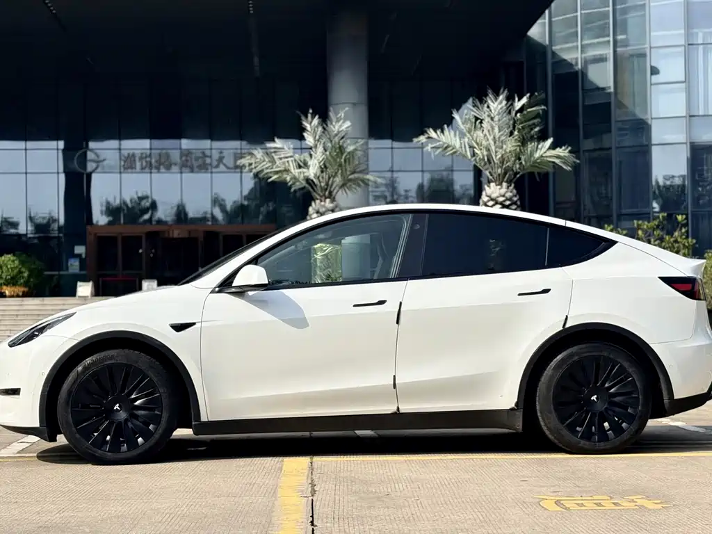 Tesla Model Y — миниатюра 14