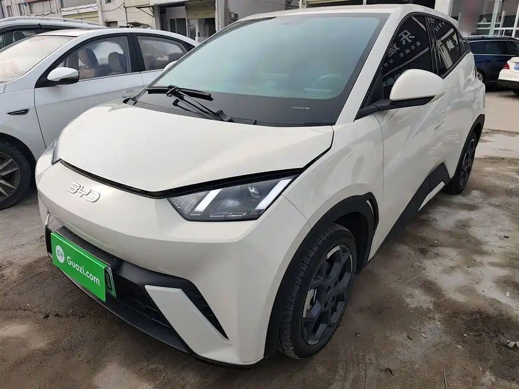 Byd Seagull 2025