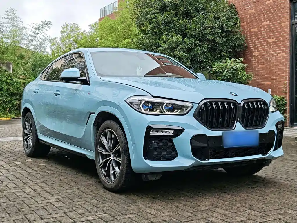 BMW X6 — миниатюра 25