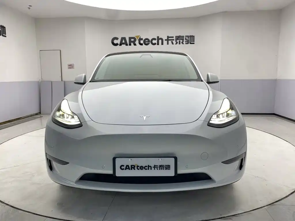 Tesla Model Y — миниатюра 3