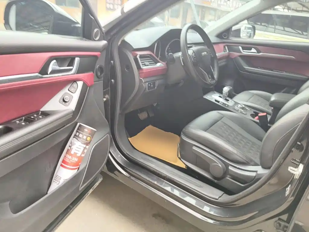 Haval H6 Coupe — миниатюра 16