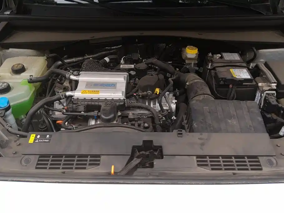 GAC GS4 2024 MAX 1.5T Flagship