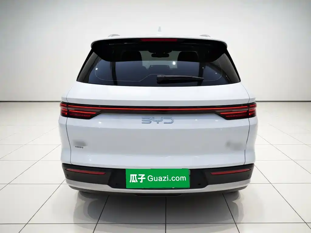 BYD Pro New Energy — миниатюра 3