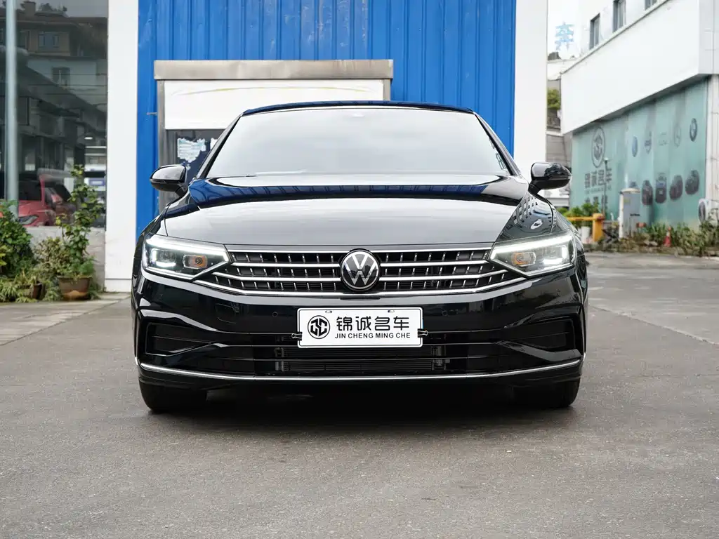 Volkswagen Magotan — миниатюра 2