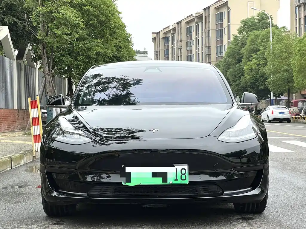 Tesla Model 3 — миниатюра 2
