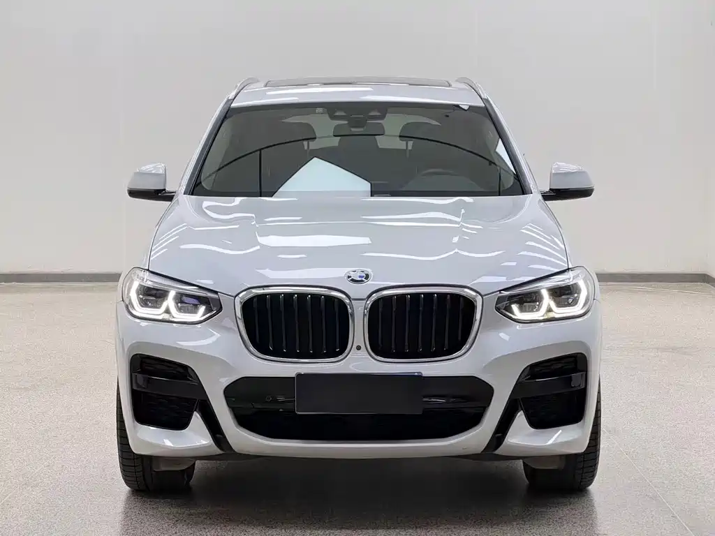 BMW X3 — миниатюра 2
