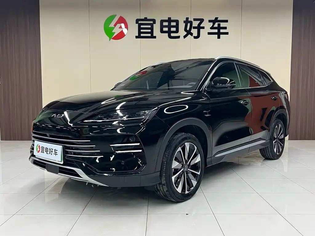 BYD SONGJIANG NEW ENERGY