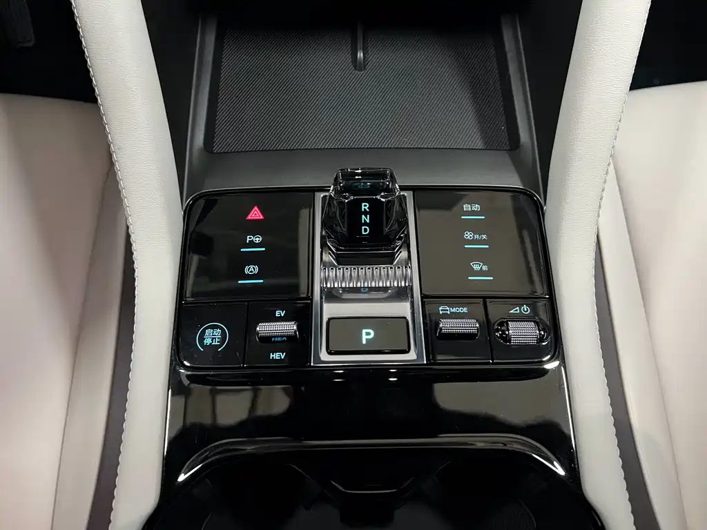 BYD SONGJIANG NEW ENERGY