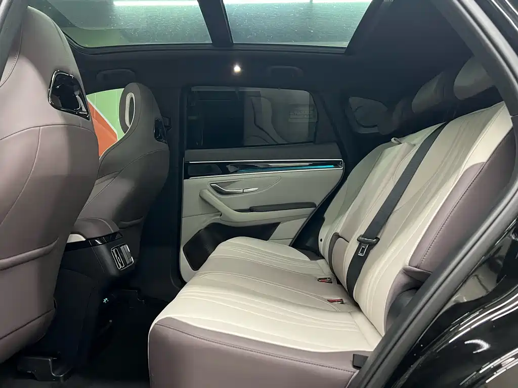 BYD SONGJIANG NEW ENERGY