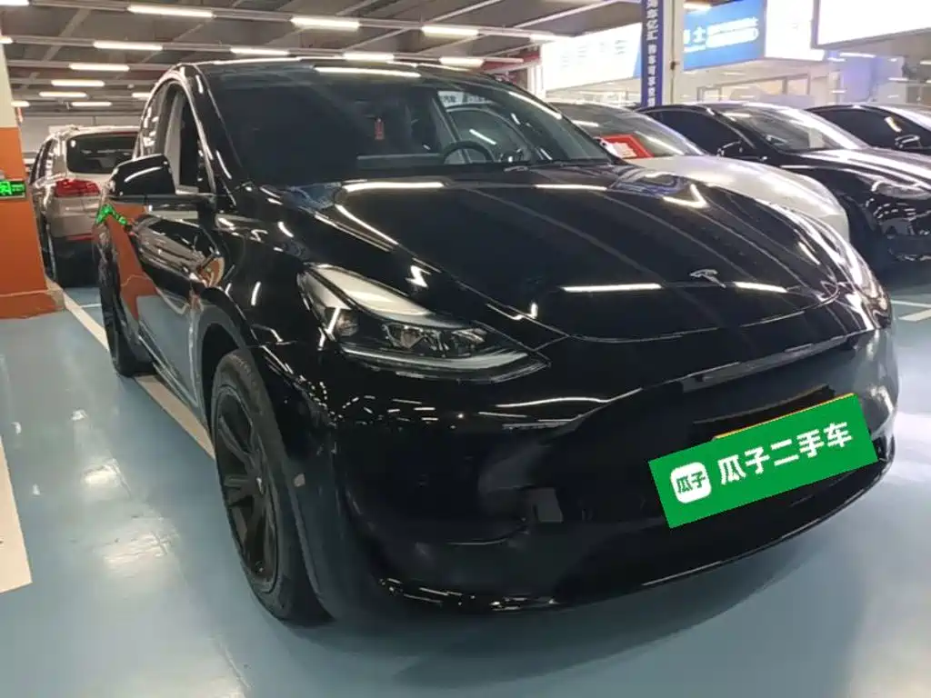 Tesla Model Y — миниатюра 4