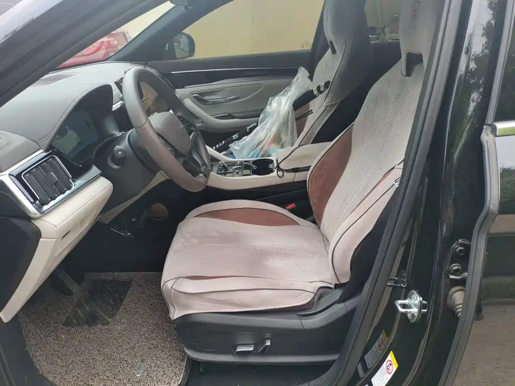 BYD PLUS New Energy — миниатюра 11