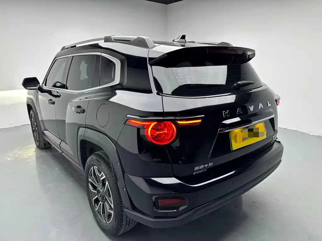 HAVAL SECOND GENERATION BIG DOG NEW ENERGY