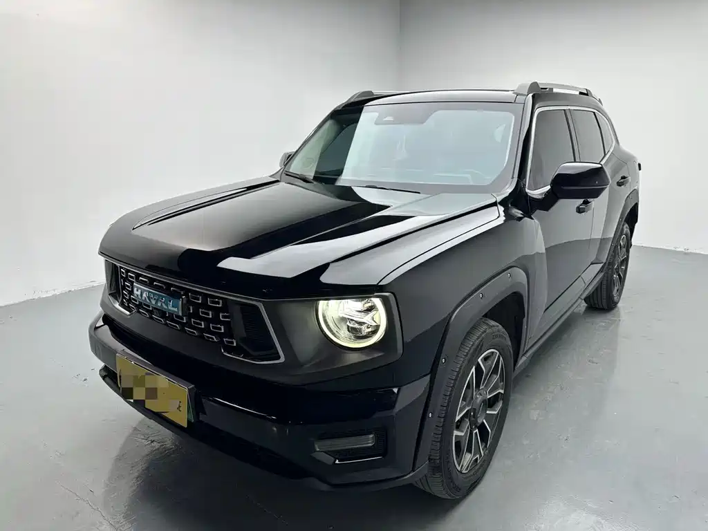 HAVAL SECOND GENERATION BIG DOG NEW ENERGY