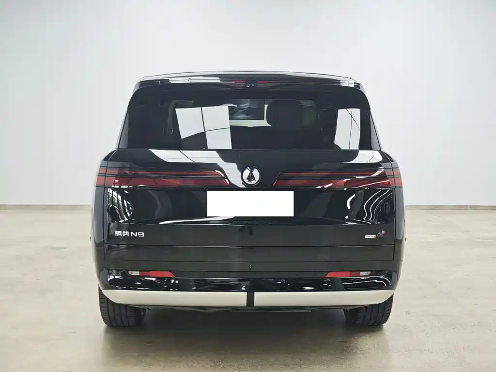 Denza N9 2025 Flagship
