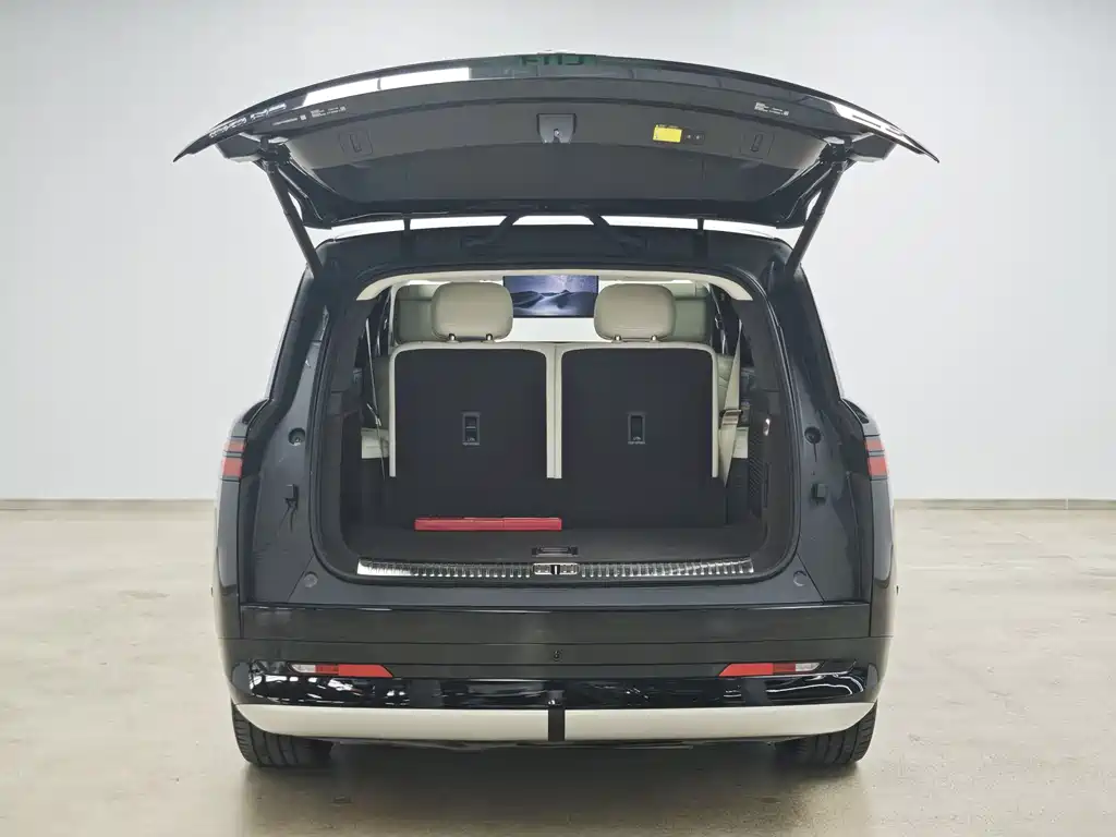 Denza N9 2025 Flagship